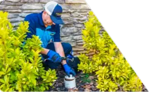 Z PLUMBERS worker kneeling between bushes checking pipe