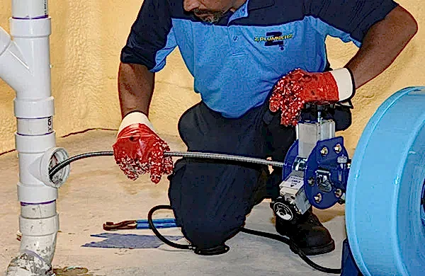 Z PLUMBERZ of Downriver servicing floor drain