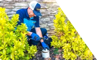 Z PLUMBERS worker kneeling between bushes checking pipe