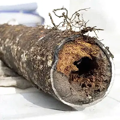 Clogged pipe