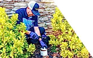 Z PLUMBERS worker kneeling between bushes checking pipe
