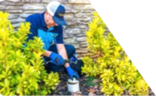 Z PLUMBERS worker kneeling between bushes checking pipe