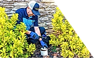 Z PLUMBERS worker kneeling between bushes checking pipe