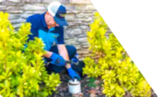 Z PLUMBERS worker kneeling between bushes checking pipe
