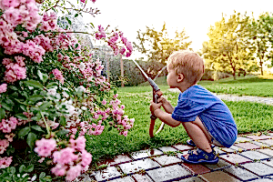 8 Essential Spring Plumbing Tips for New Haven Homeowners