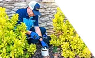Z PLUMBERS worker kneeling between bushes checking pipe