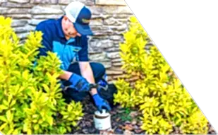 Z PLUMBERS worker kneeling between bushes checking pipe