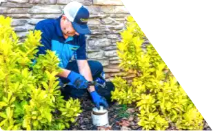 Z PLUMBERS worker kneeling between bushes checking pipe