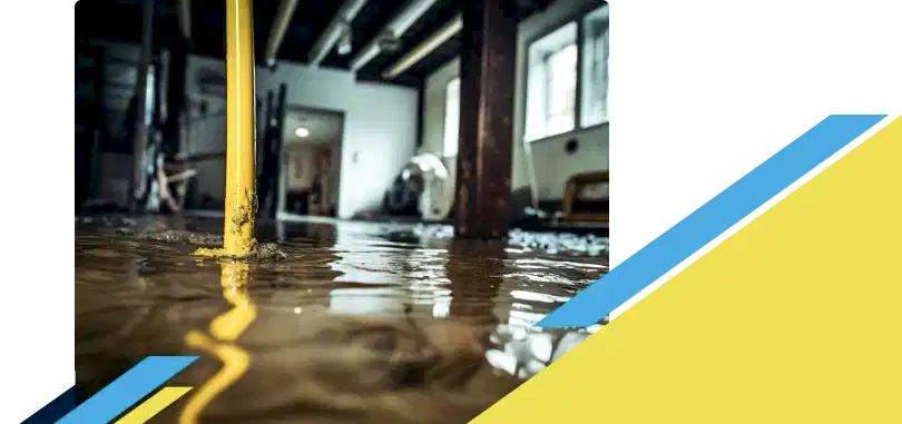 Standing water in basement