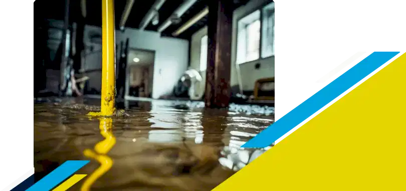 Standing water in basement